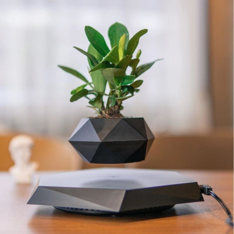 Suspended Hanging Flower Pot — Creative Bonsai & Home Décor