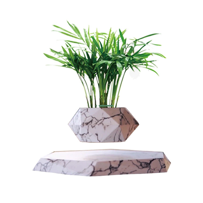 Suspended Hanging Flower Pot — Creative Bonsai & Home Décor