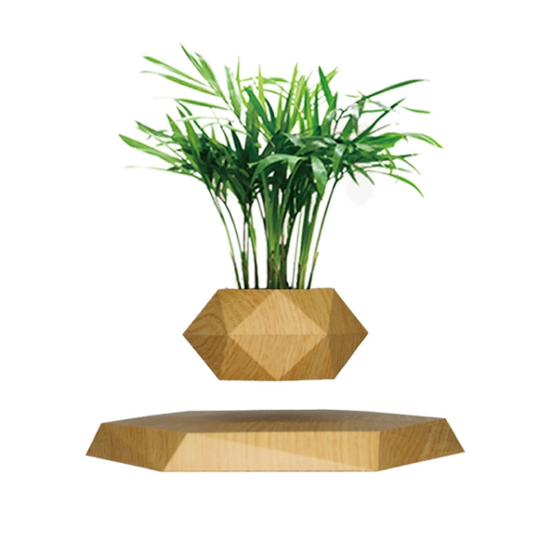 Suspended Hanging Flower Pot — Creative Bonsai & Home Décor