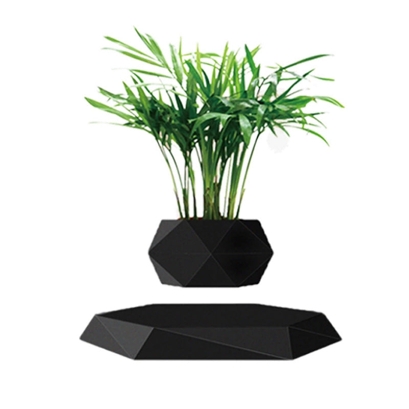 Suspended Hanging Flower Pot — Creative Bonsai & Home Décor