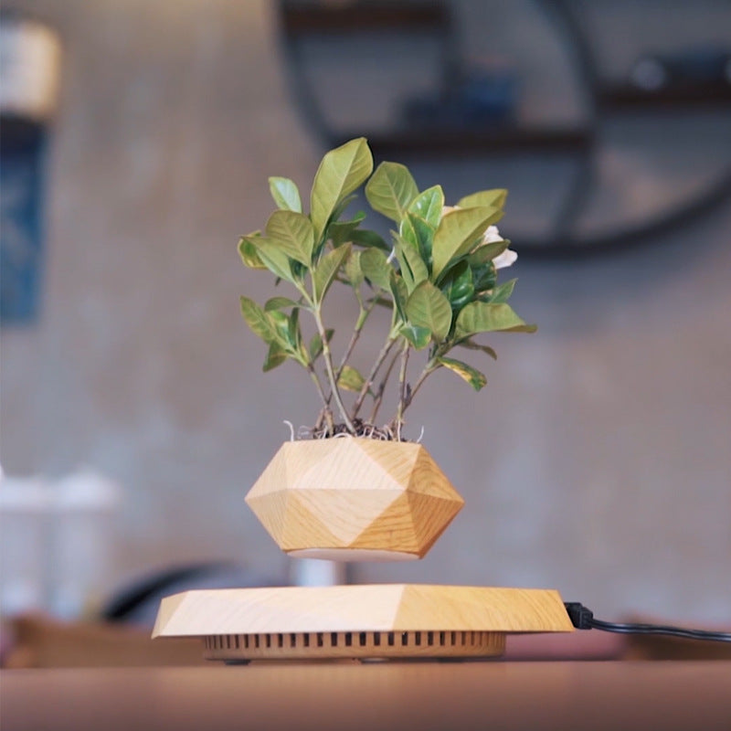 Suspended Hanging Flower Pot — Creative Bonsai & Home Décor