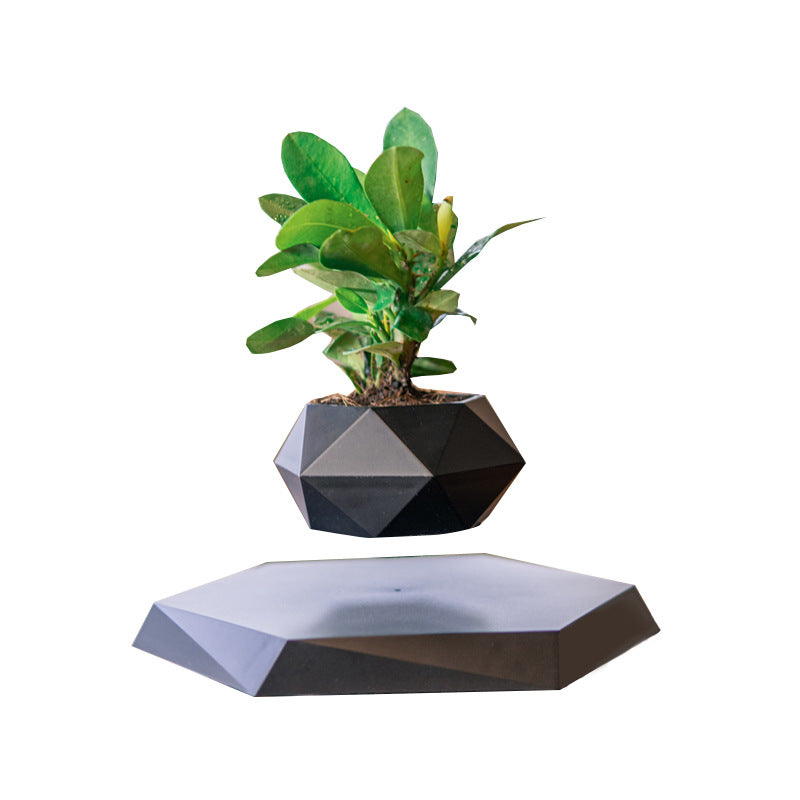 Suspended Hanging Flower Pot — Creative Bonsai & Home Décor